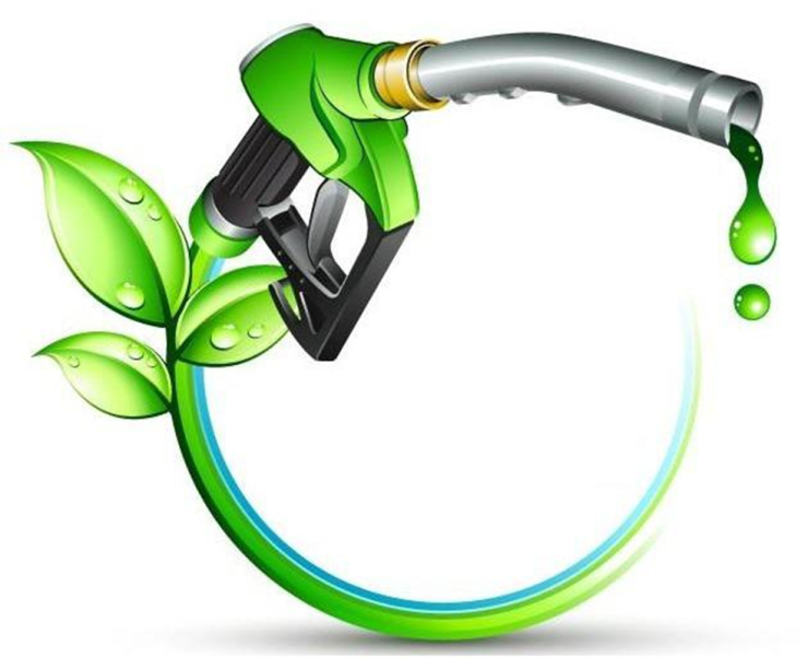 Advances in Biofuel Production: Algae and Aquatic Plants